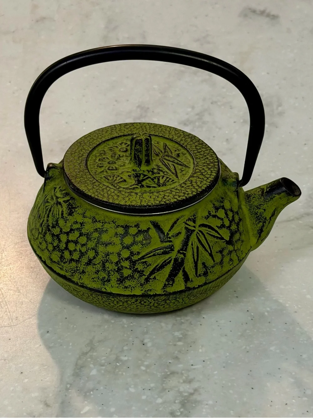 Kyusu Cast Iron Tea Pot Creative Avacado Green Bamboo Design w/ Infusion Basket